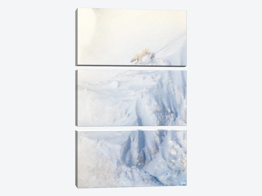 Polar Bear Climbing Stiff Cliff by Nik Rave 3-piece Canvas Artwork
