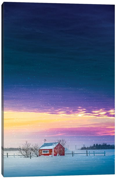 Polar Night Canvas Art Print - Nik Rave