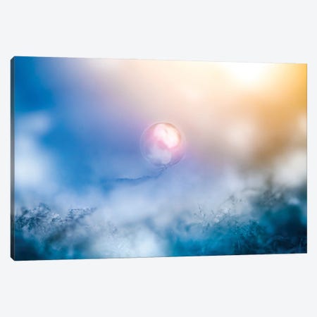 Frozen Pearl In A Morning Light Canvas Print #NRV559} by Nik Rave Canvas Artwork