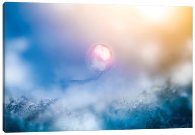 Frozen Pearl In A Morning Light Canvas Art Print - Nik Rave