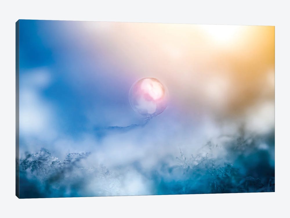 Frozen Pearl In A Morning Light by Nik Rave 1-piece Canvas Artwork