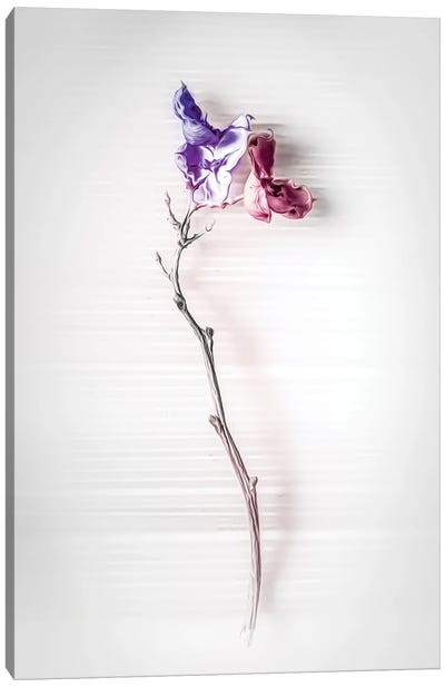 Fine Art Flowers Of Hope Canvas Art Print - Nik Rave