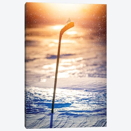 Glorious Hockey Stick In An Evening Light Canvas Print #NRV566} by Nik Rave Canvas Art