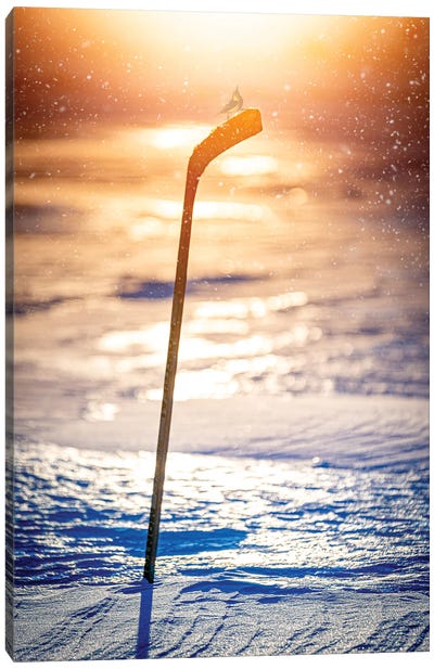 Glorious Hockey Stick In An Evening Light Canvas Art Print - Nik Rave