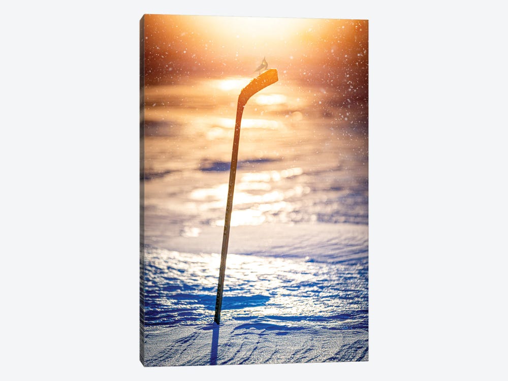 Glorious Hockey Stick In An Evening Light by Nik Rave 1-piece Canvas Artwork