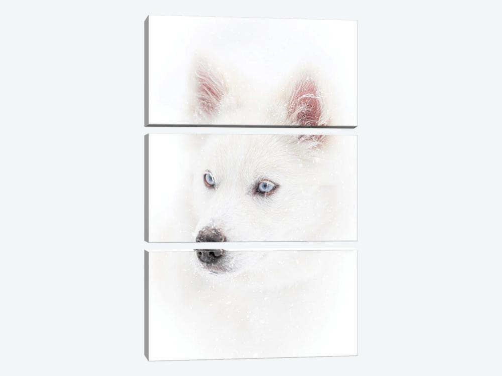 Dog In A Snowfall by Nik Rave 3-piece Canvas Print