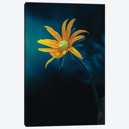 Epic Deep Blue Light Yellow Flower Canvas Print #NRV569} by Nik Rave Canvas Print