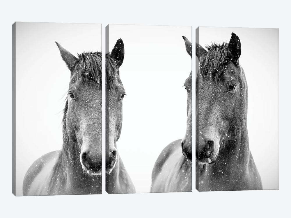 Brothers Ponies by Nik Rave 3-piece Canvas Art Print