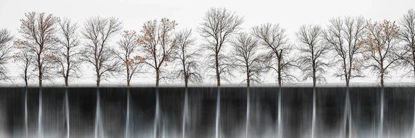 Nik Rave: Living Shadows Dark by Nik Rave