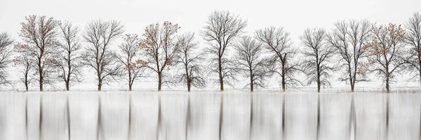 Nik Rave: Living Shadows Light by Nik Rave