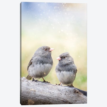 2 Birds On The Bench Canvas Print #NRV580} by Nik Rave Canvas Art Print