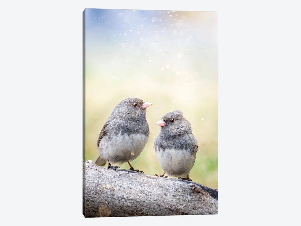 2 Birds On The Bench by Nik Rave 1-piece Canvas Wall Art