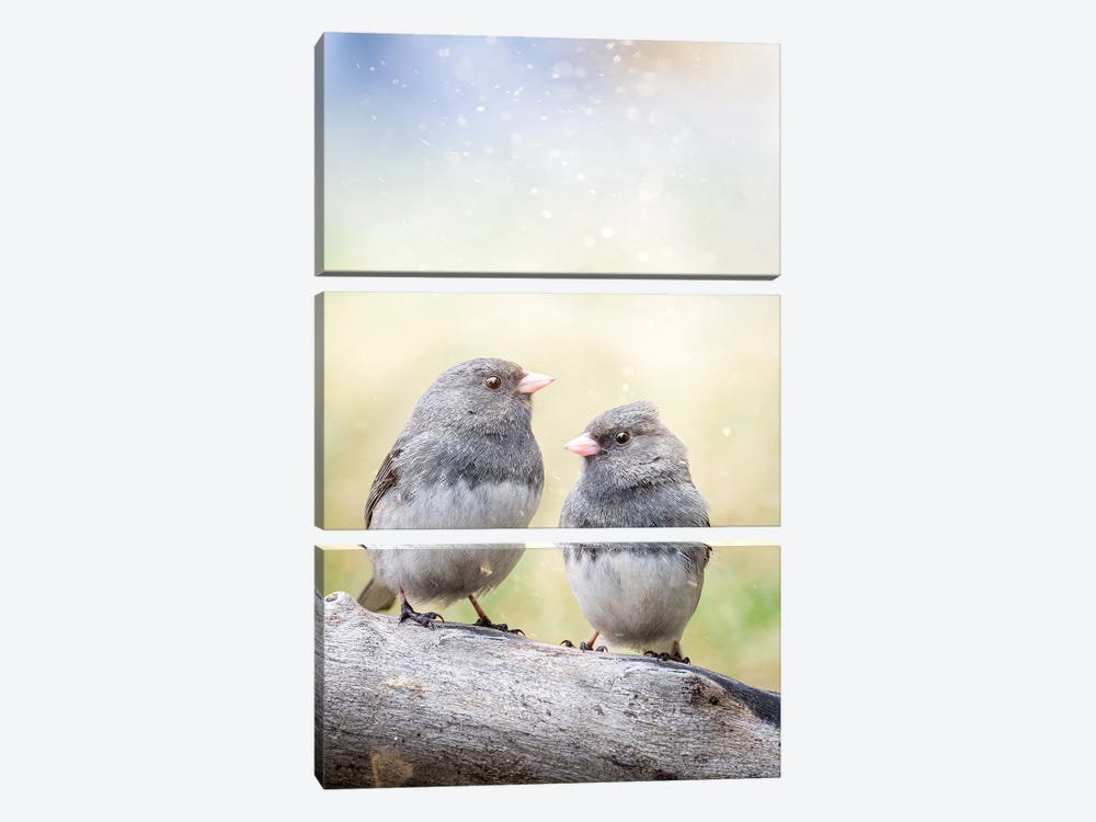 2 Birds On The Bench by Nik Rave 3-piece Canvas Art