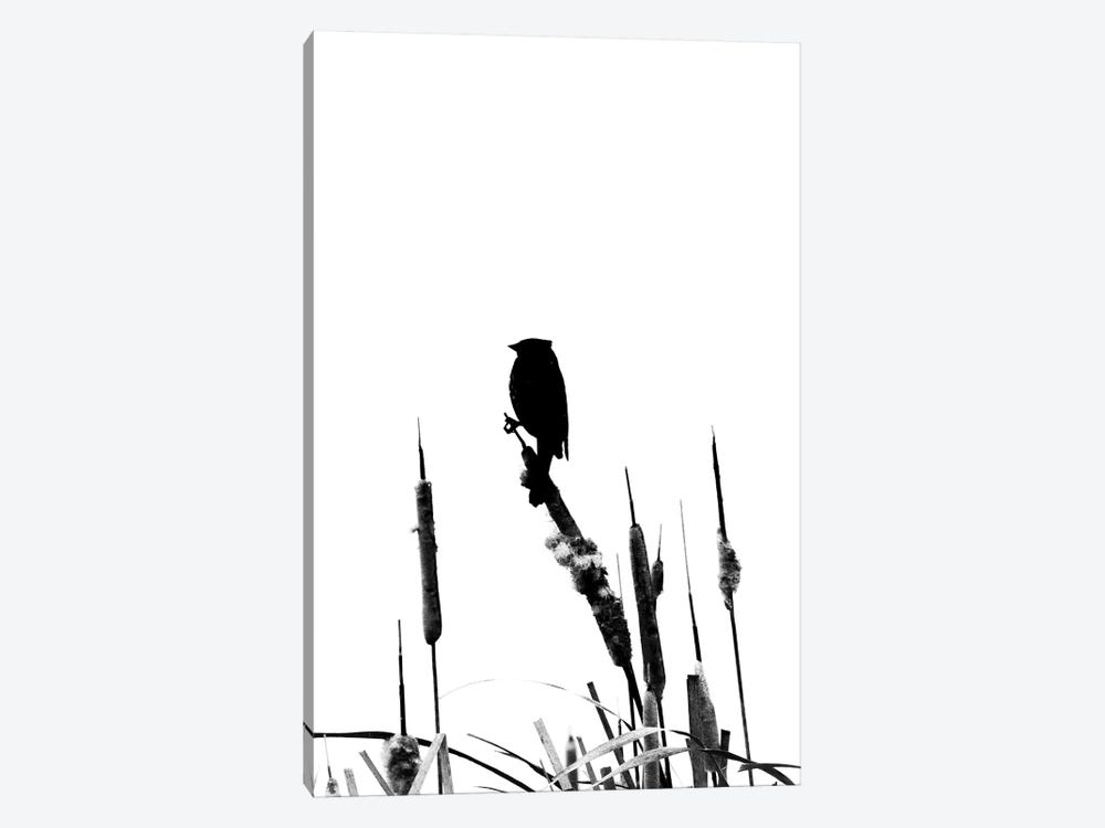 Black And White Silhouette Of A Bird On The Cattail by Nik Rave 1-piece Canvas Wall Art
