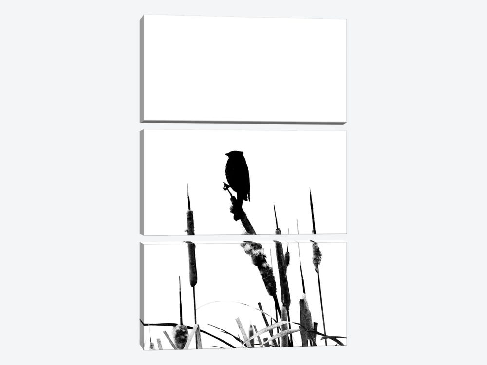 Black And White Silhouette Of A Bird On The Cattail by Nik Rave 3-piece Canvas Art