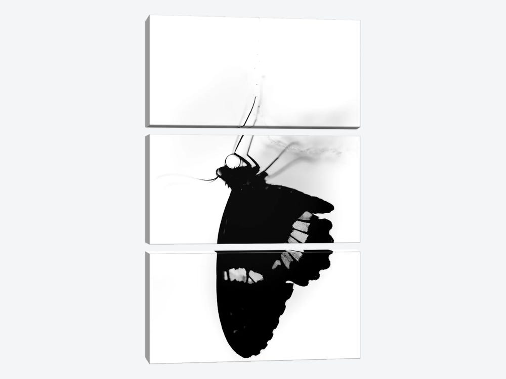 Silhouette Of A Butterfly In Black And White by Nik Rave 3-piece Canvas Wall Art