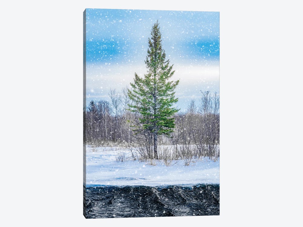 Winter Snow Tree And Water by Nik Rave 1-piece Canvas Artwork