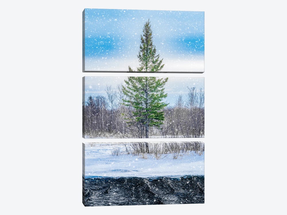Winter Snow Tree And Water by Nik Rave 3-piece Canvas Artwork