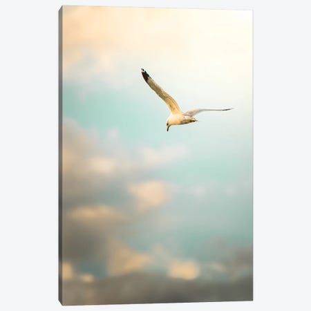 Hunting Seagull Up Down Canvas Print #NRV61} by Nik Rave Canvas Artwork