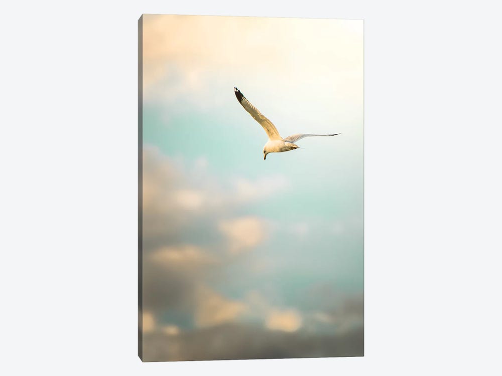 Hunting Seagull Up Down by Nik Rave 1-piece Canvas Print