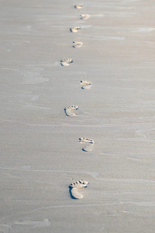 Footprints Imprinted On The Sand