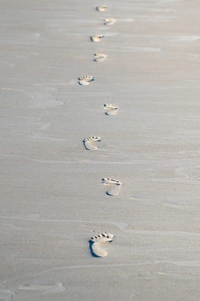 Nik Rave: Footprints Imprinted On The Sand by Nik Rave