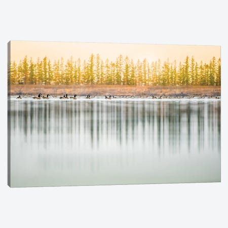 Low Angle, Geese Water Reflection Canvas Print #NRV69} by Nik Rave Canvas Artwork