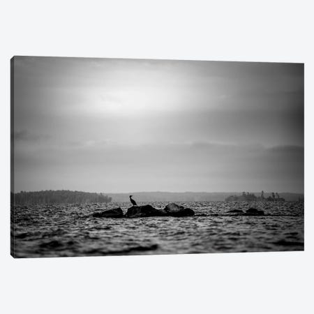 Lonely Bird On The Rock In Black And White Canvas Print #NRV70} by Nik Rave Art Print