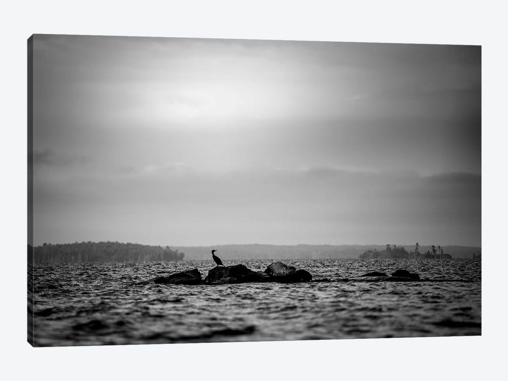 Lonely Bird On The Rock In Black And White by Nik Rave 1-piece Canvas Art Print