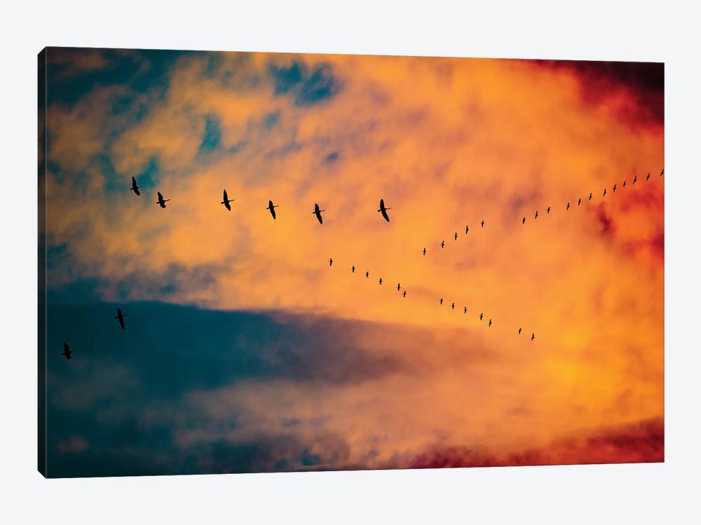 Burning Skies Birds by Nik Rave 1-piece Canvas Wall Art
