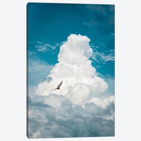 Through The Clouds Vulture Canvas Print #NRV74} by Nik Rave Canvas Art