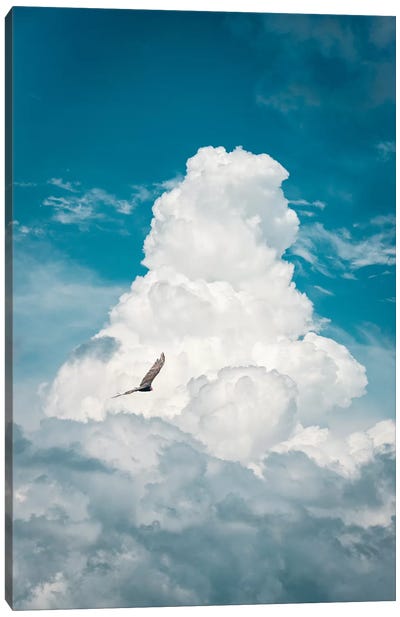 Through The Clouds Vulture Canvas Art Print - Nik Rave