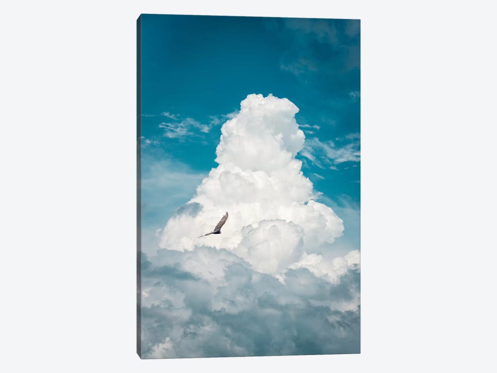 Through The Clouds Vulture by Nik Rave 1-piece Canvas Art Print