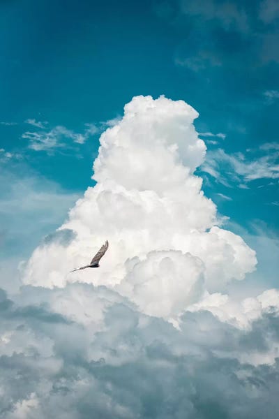 Nik Rave: Through The Clouds Vulture by Nik Rave