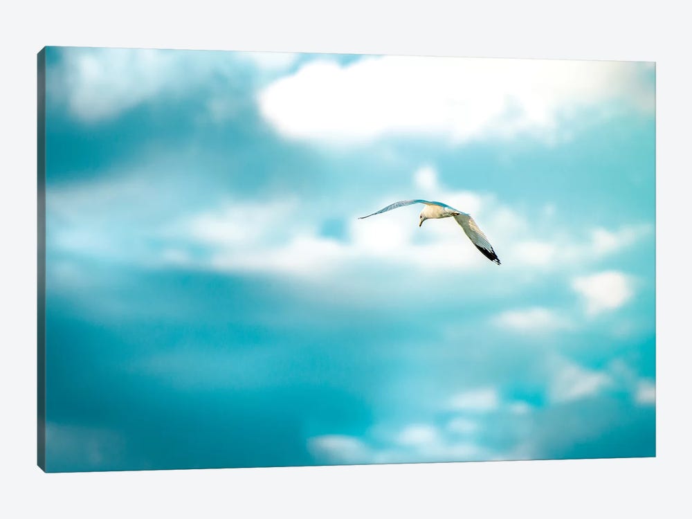 Milky Sky Shooting Seagull by Nik Rave 1-piece Canvas Print