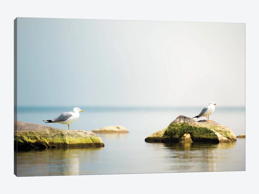 Seagull Waterscape Creative by Nik Rave 1-piece Canvas Art