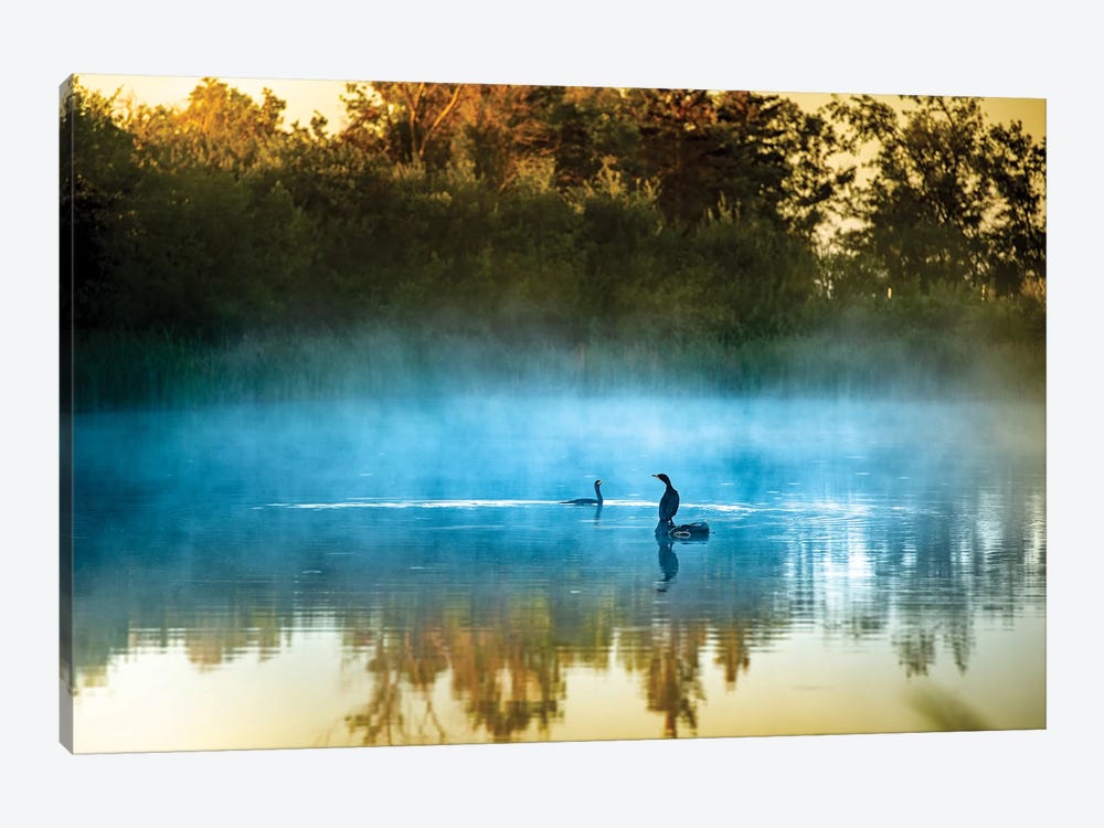 The Foggy Songs by Nik Rave 1-piece Canvas Wall Art