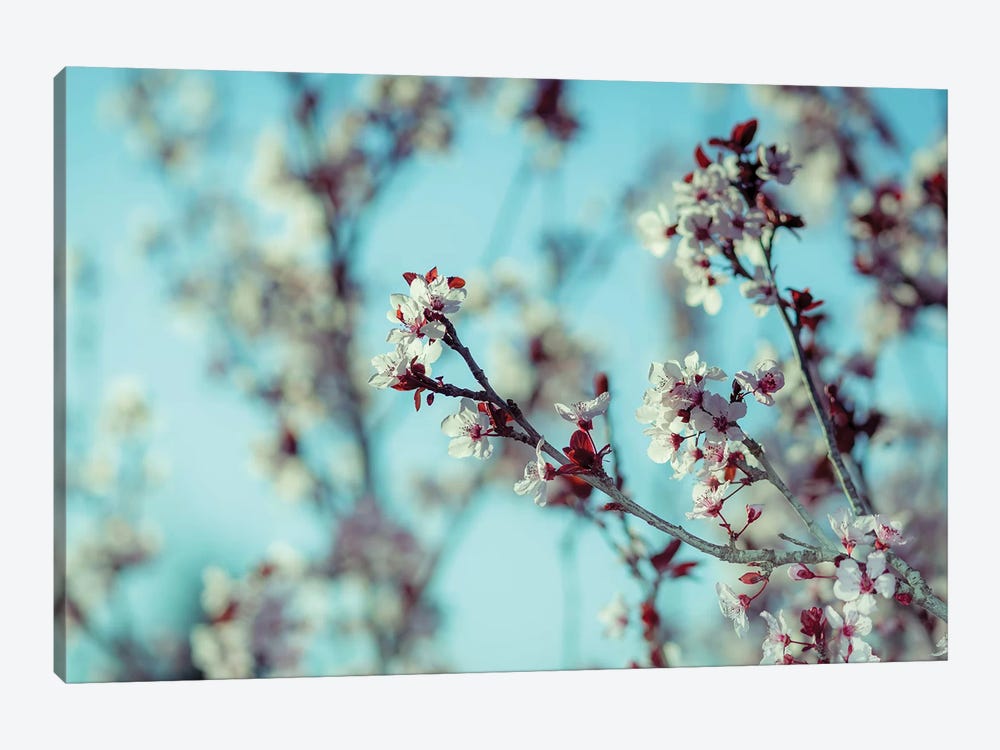 Blooming Tree by Nik Rave 1-piece Canvas Wall Art