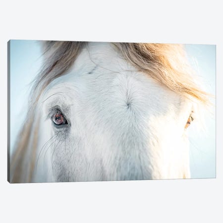 White Horse Eyes Canvas Print #NRV90} by Nik Rave Art Print