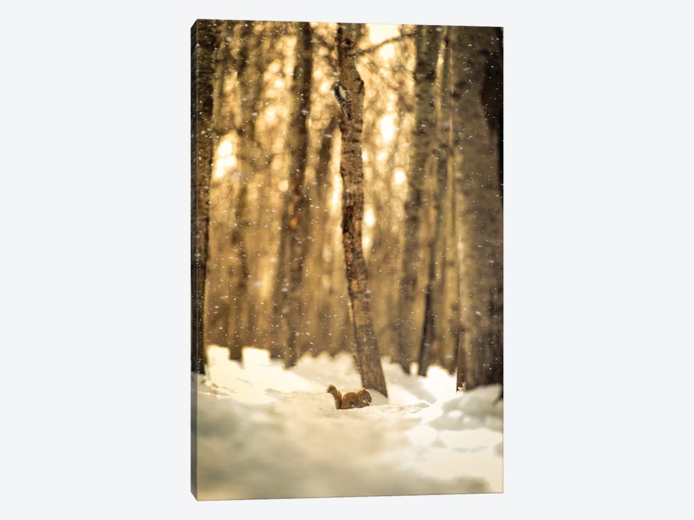 Squirrel In A Deep Snow by Nik Rave 1-piece Art Print