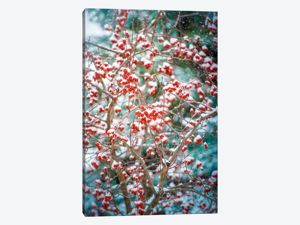 Red Wild Apples Snowfall by Nik Rave 1-piece Canvas Artwork