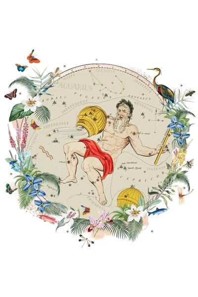 Aquarius: Aquarius Horoscope by Natalie Ryan
