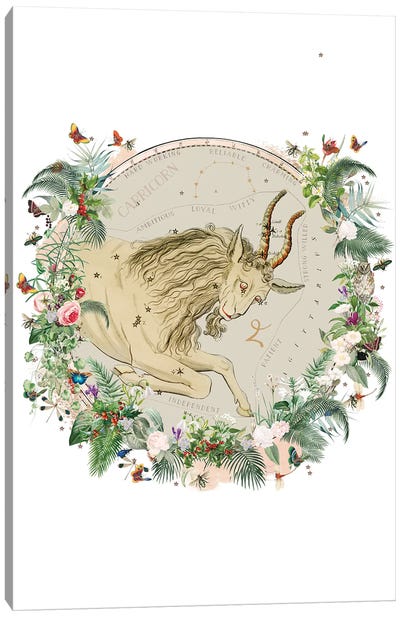 Capricorn Horoscope Canvas Art Print - Rams