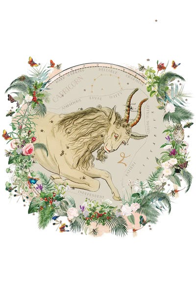 Capricorn: Capricorn Horoscope by Natalie Ryan