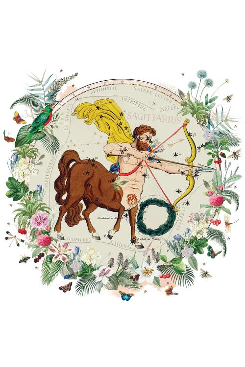 Sagittarius Horoscope by Natalie Ryan wall art