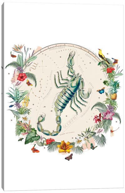 Scorpio Horoscope Canvas Art Print - Scorpion Art