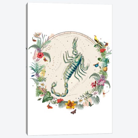 Scorpio Horoscope Canvas Print #NRY143} by Natalie Ryan Art Print