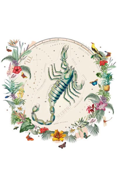 Tropical Leaves: Scorpio Horoscope by Natalie Ryan