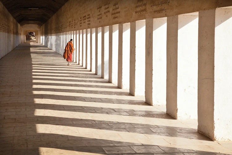 Looking Back by Joe B.N. wall art