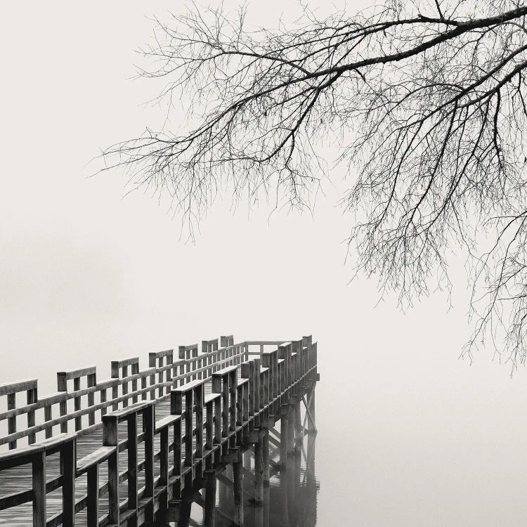 Pier in Winter Fog